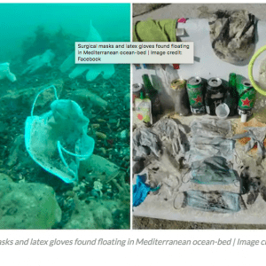 COVID-19: Challenges of Human Health and Environmental Costs