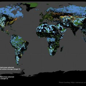 Global Safety Net: A ‘blueprint’ to conserve protected areas around the world