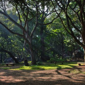 The Need for Cities in Regional Planning Development in India