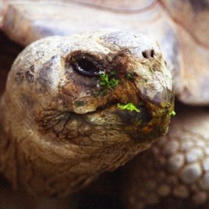 Concept counter | Understanding ecosystem services and ecological niche