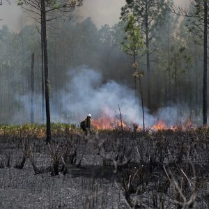 NASA Finding throws light on Rising Global Methane Emissions