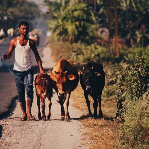 Village Information Systems: A step towards G-Governance
