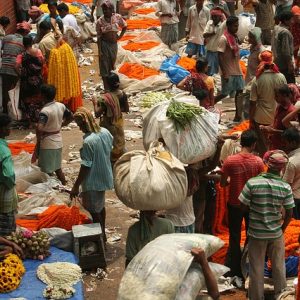 Does Population Cause Poverty or Prosperity