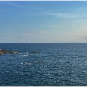 UNCLOS or Law of Sea Offers Cooperation for Sustainable Oceans