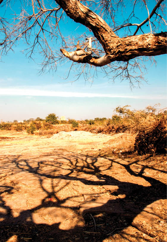 Drought Monitoring