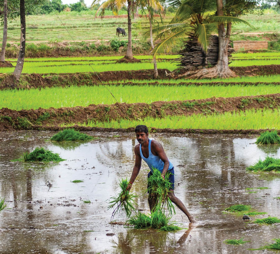 Monsoons in India