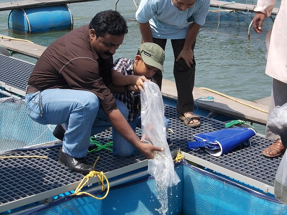 Fish farming and Cage culture