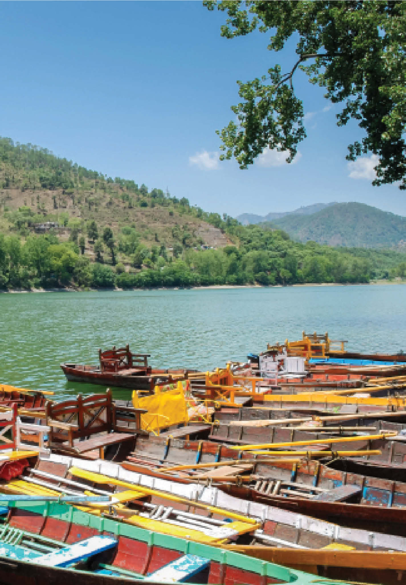 Tourism Regulatory Framework