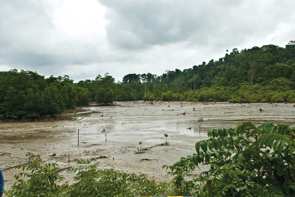 Andaman and Nicobar: A Challenge for Multi Hazard Risk Management
